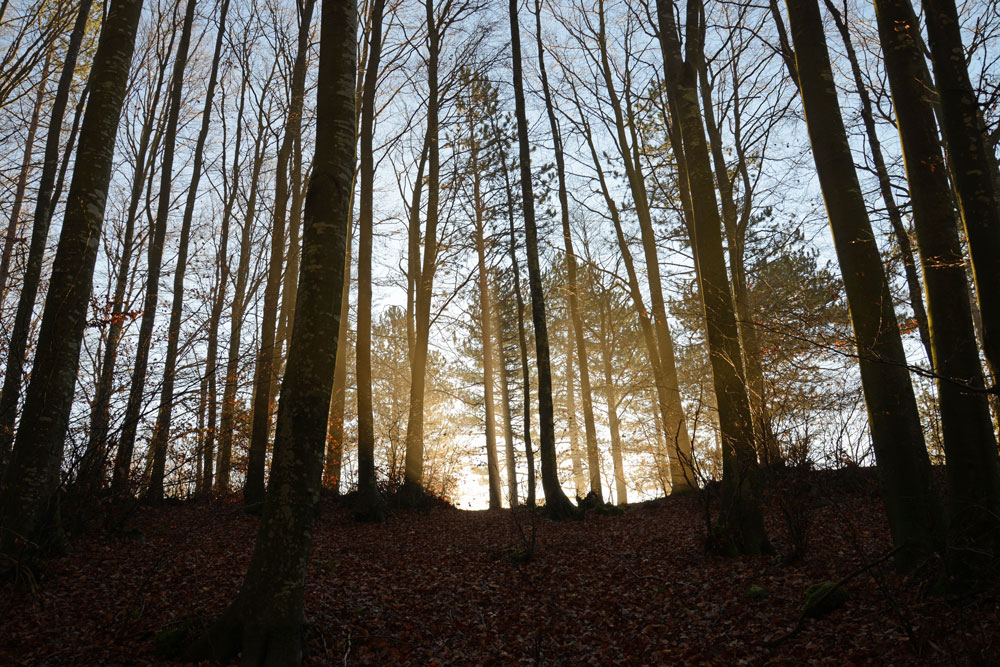 Aspettando il sole ...