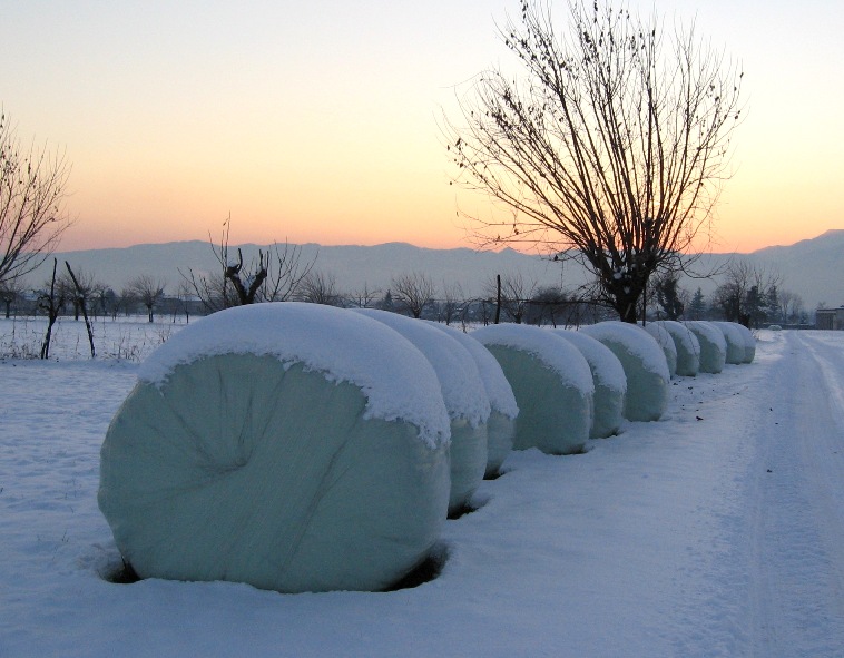 progresso...balle...