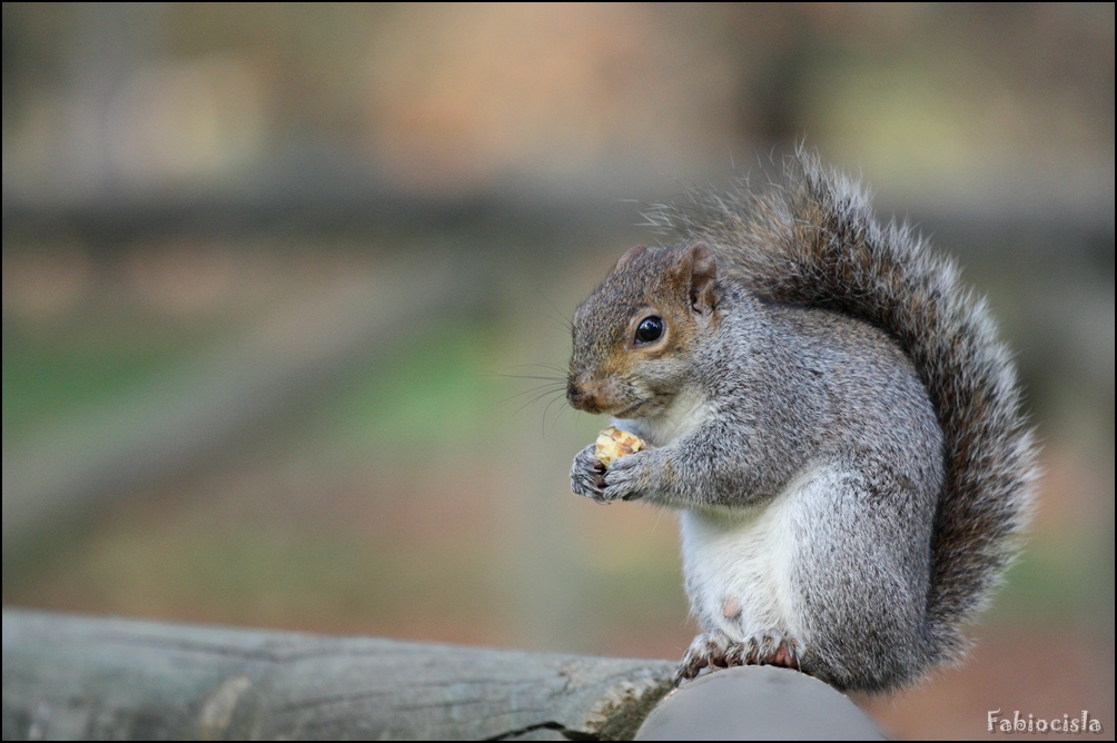 tra un op e l'altro...