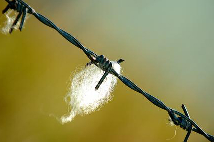 Tramonto dal M.Grappa