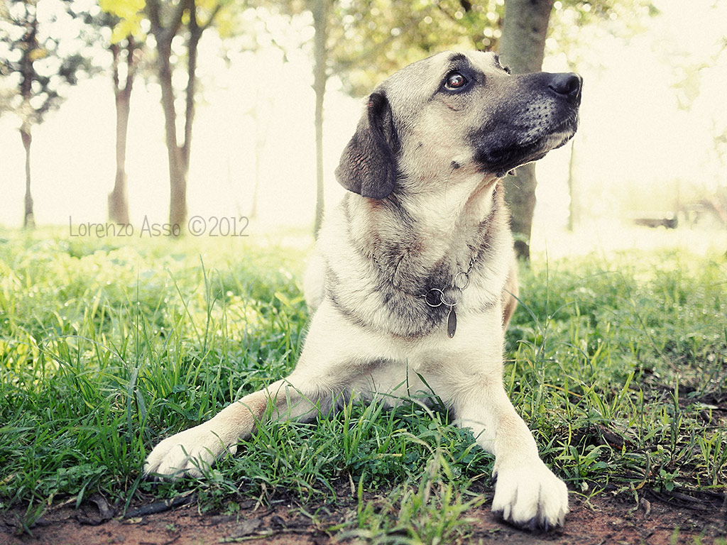 ...Looking at Granpa...