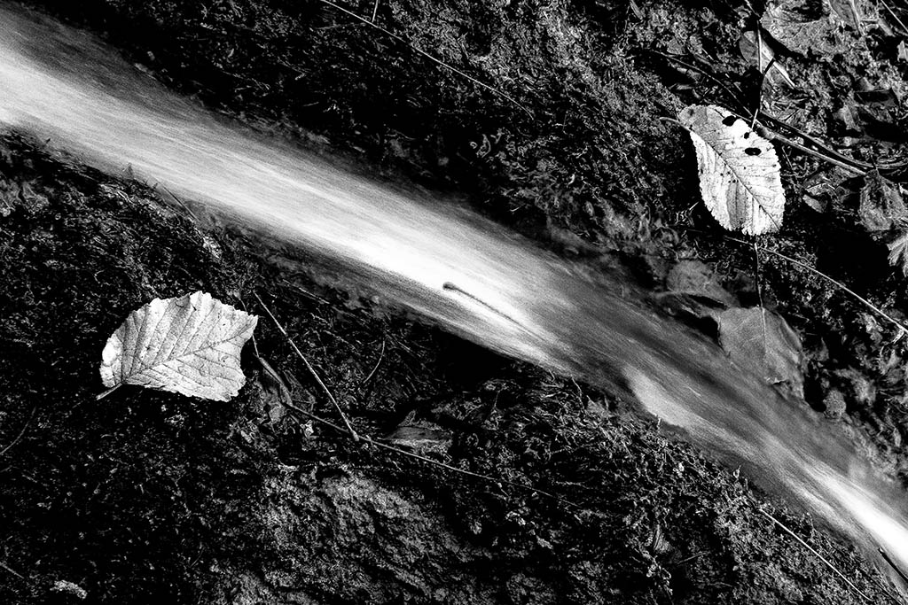 inverno .... alle porte