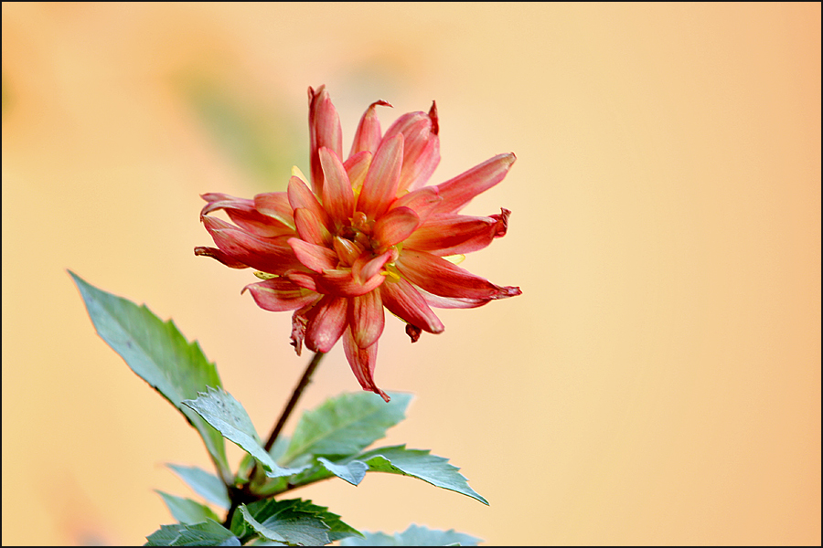 strascichi d'estate...