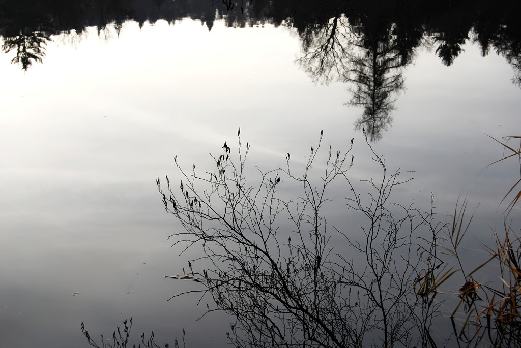 Illusione e realt�