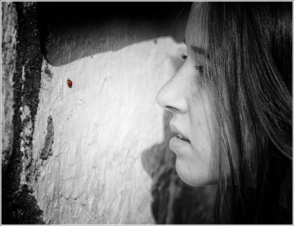 ...alla scoperta delle emozioni ....