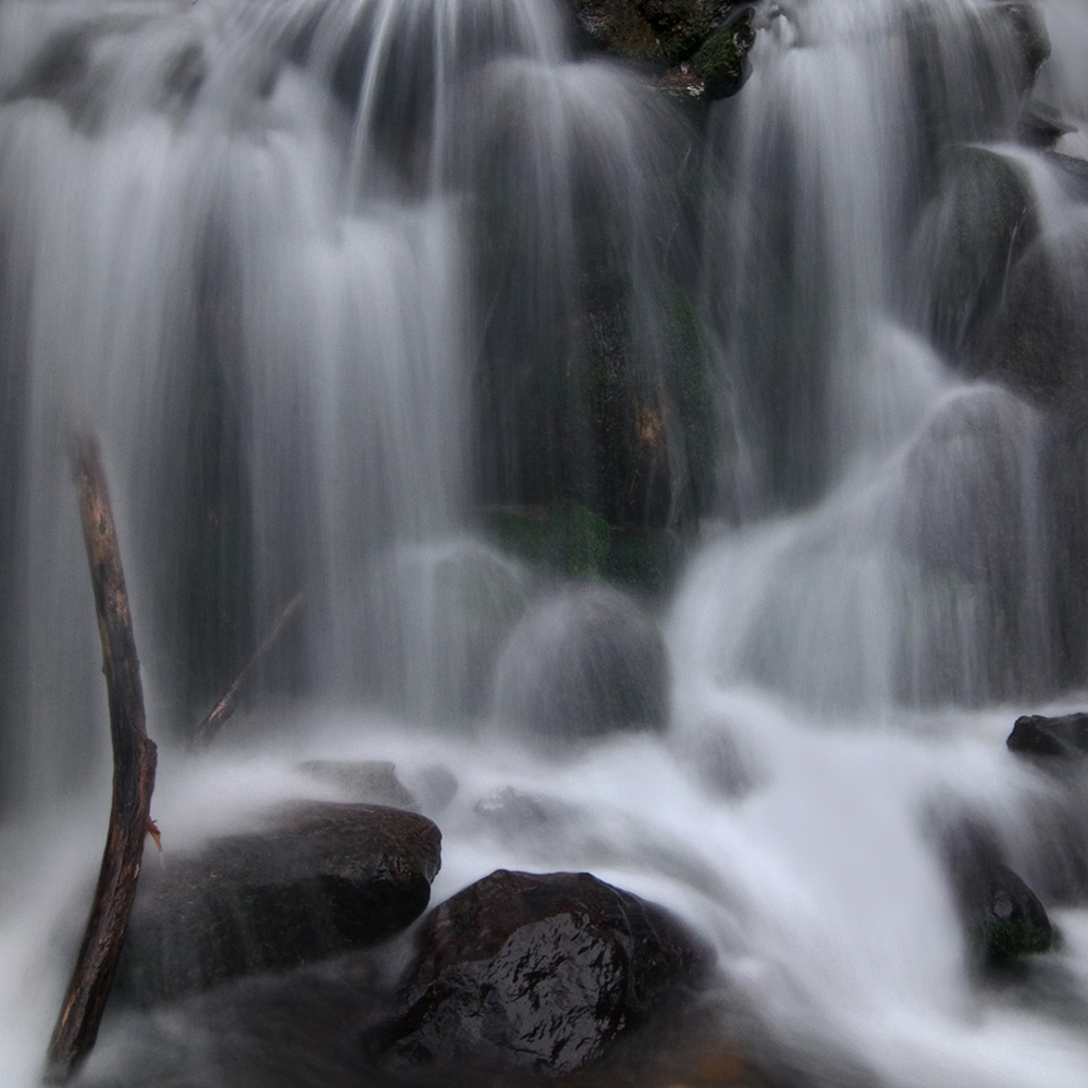 Seta in alta quota..