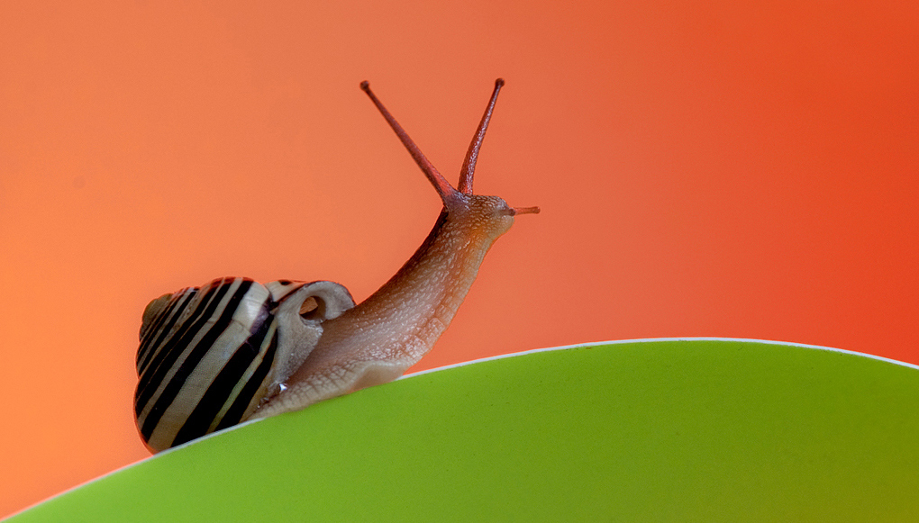 una @ che si gode l'alba...