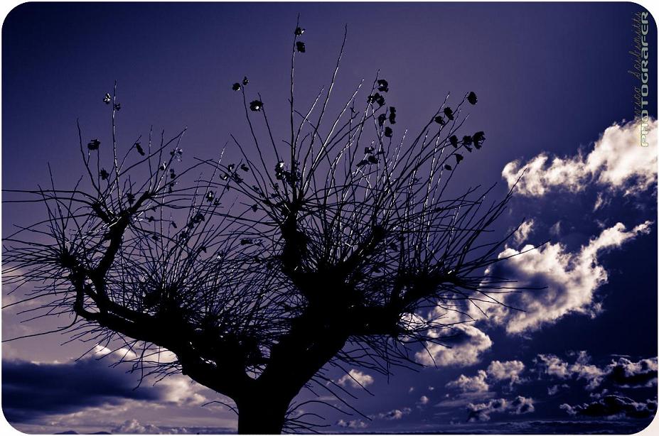 Il cielo � blu sopra le nuvole