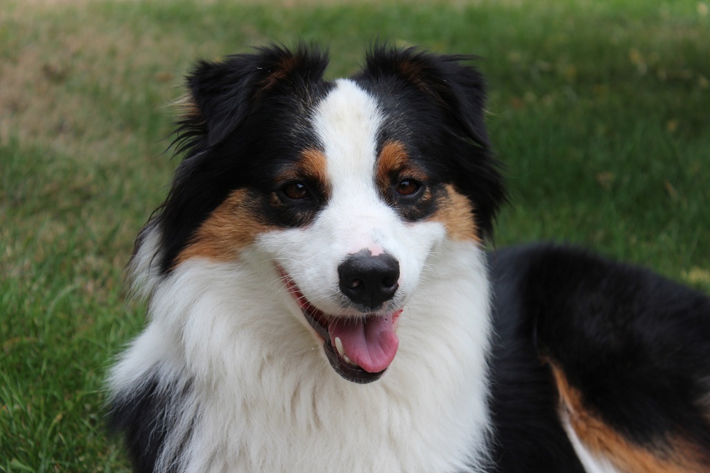 La mia prima foto con la mia prima reflex