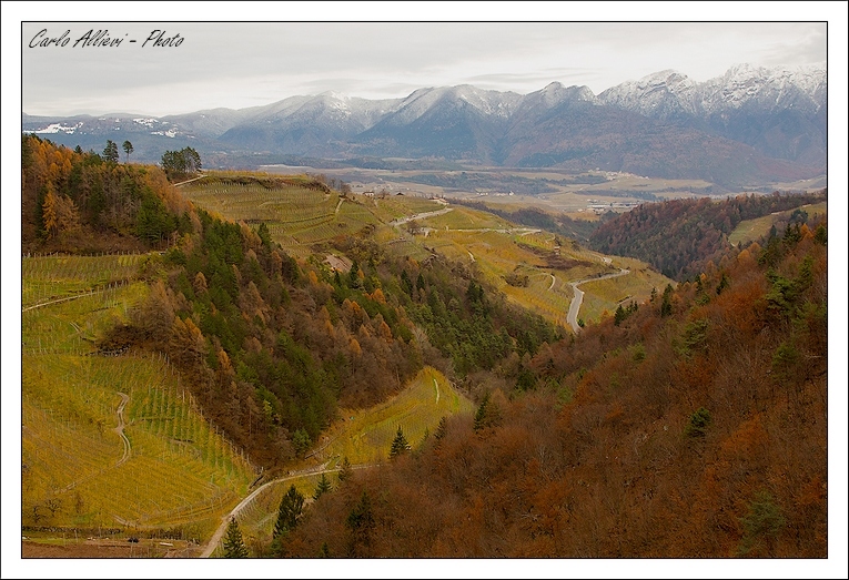 Paesaggio trentino
