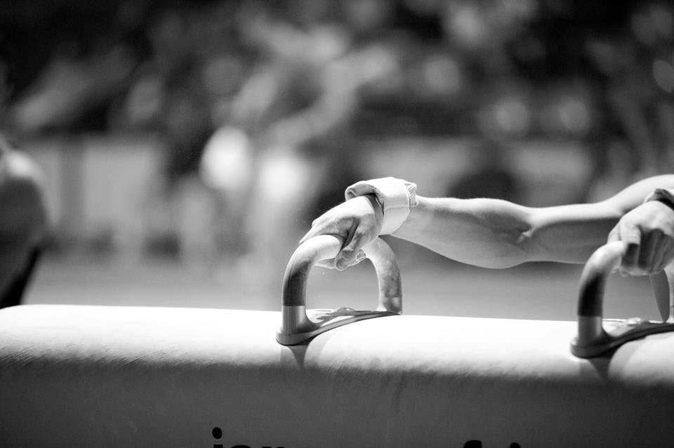 Cavallo con maniglie