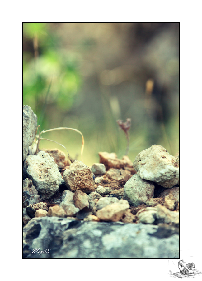 Una passeggiata al Ciolo..