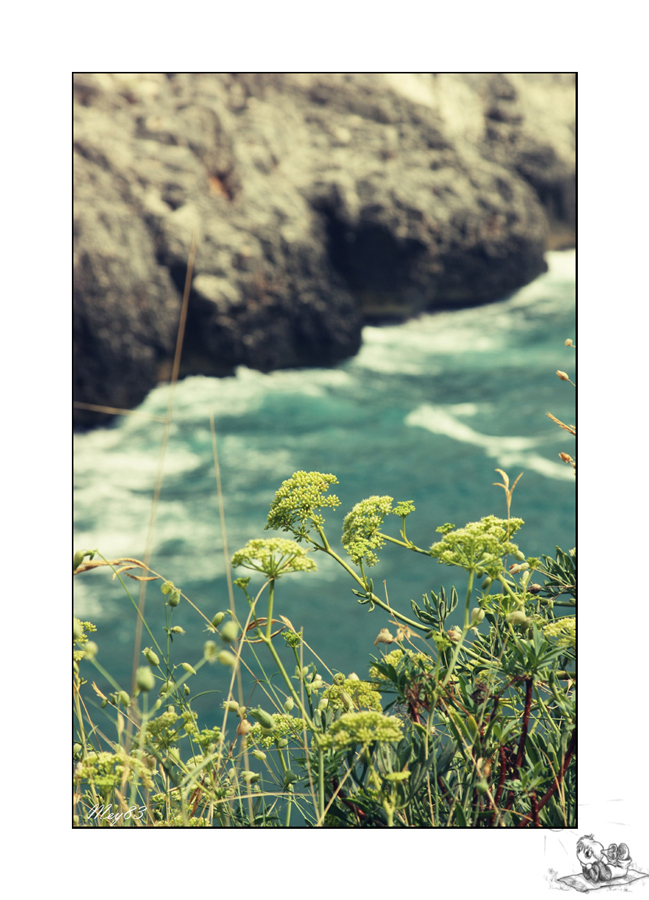 Una passeggiata al Ciolo..