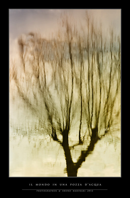 Il mondo dentro una pozza d'acqua