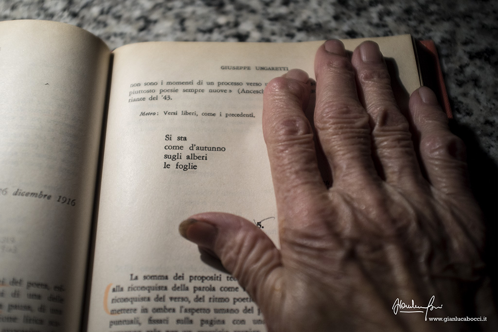 I colori dell'autunno