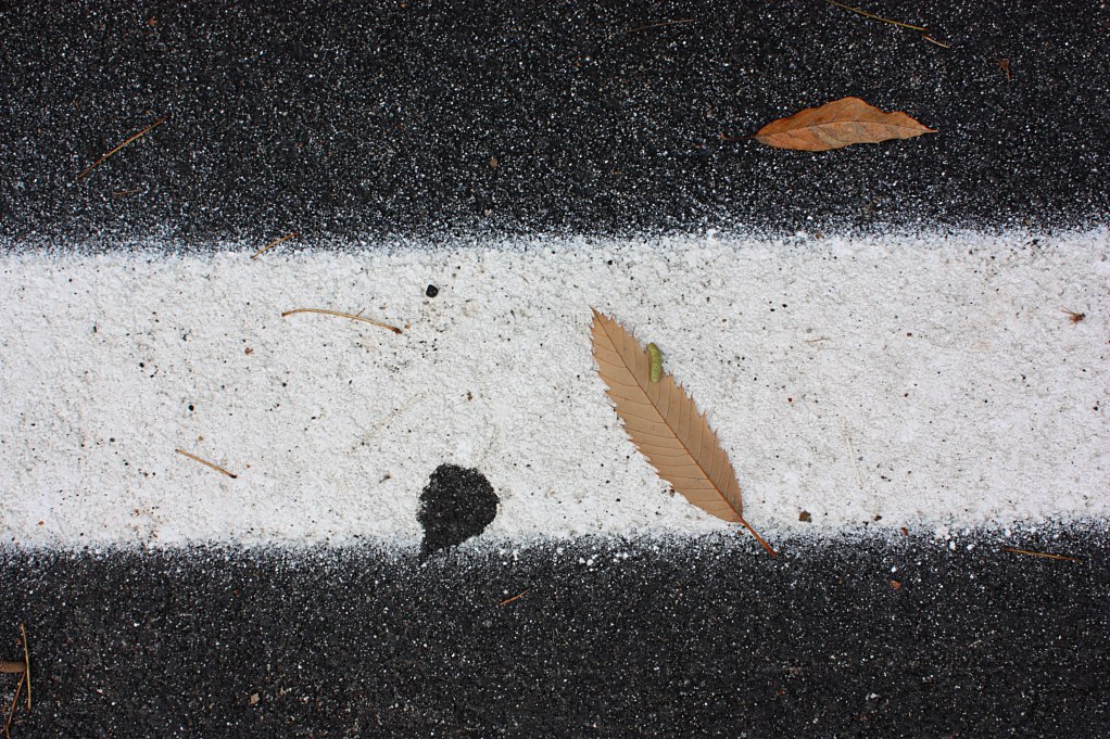 Traccia di una foglia