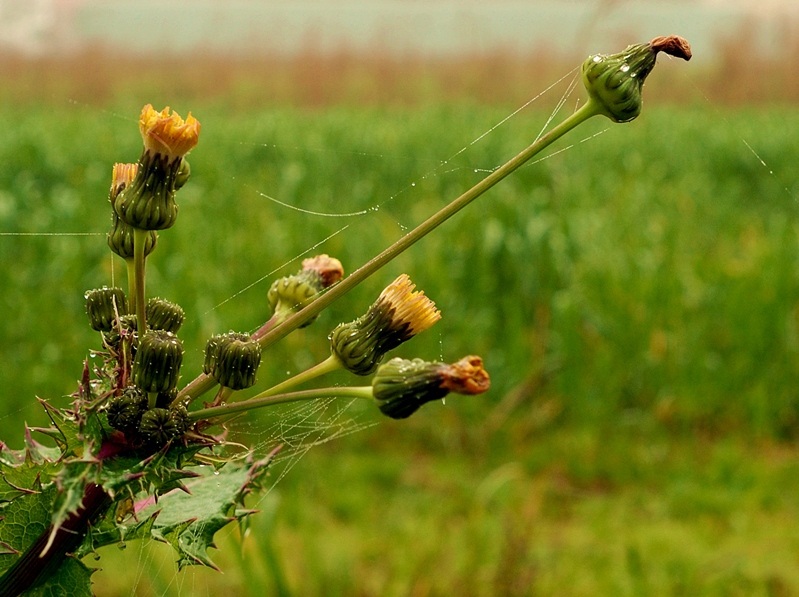 Colori di vita in autunno