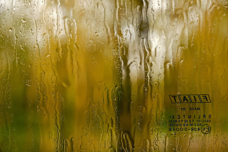 Fiat: Autunno dalla mia auto