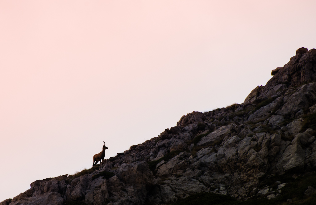 il profilo del re delle cime d'Abruzzo