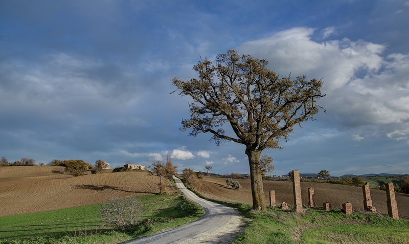 campagna marchigiana