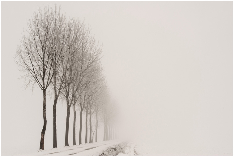 Nel candido...svanire