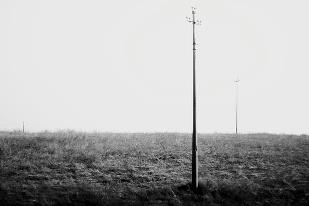 [Level 0: Born Places] #1