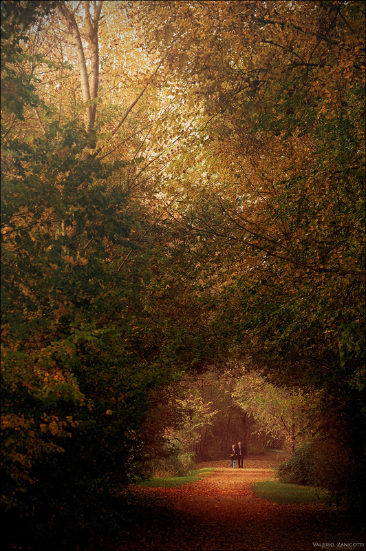 Quattro passi tra "i colori dell'autunno"
