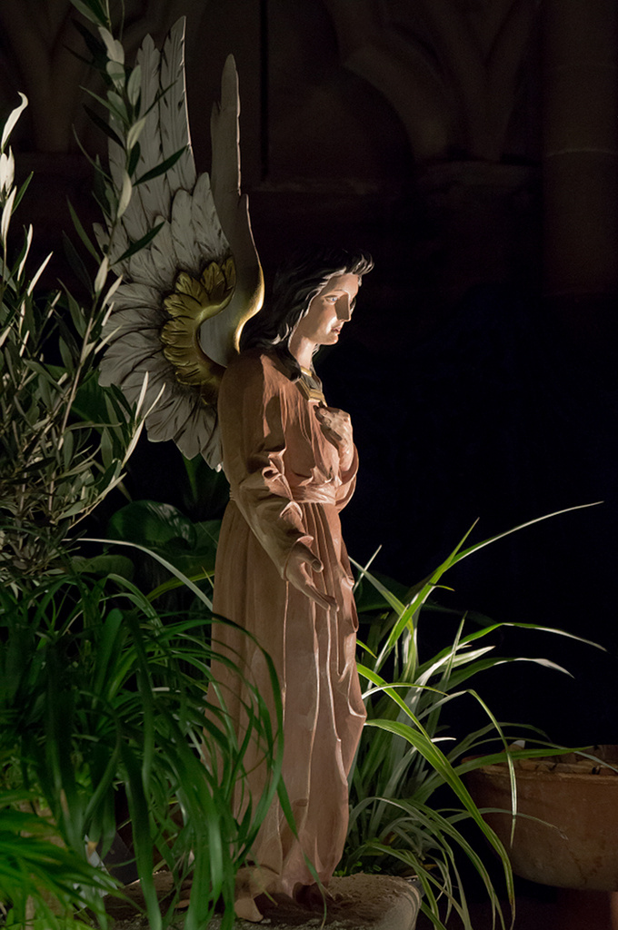 Ben arrivato , Signor G.