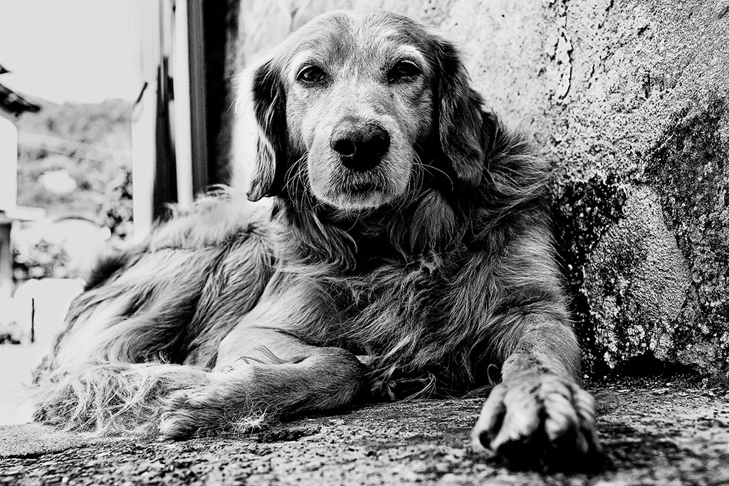 ciao!  ...  io sono un tuo amico ...