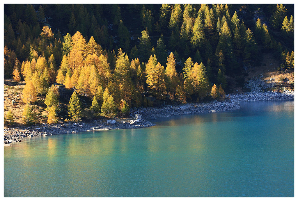 Autunno sul lago alpino