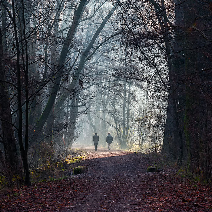 Due chiacchiere nel parco