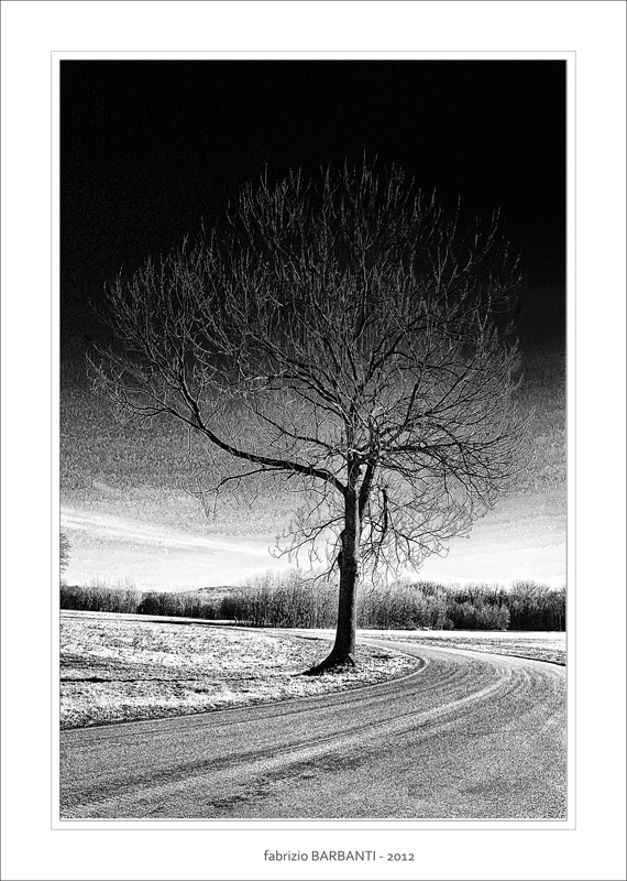 solitario sulla curva