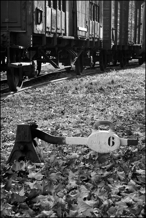 Torino, 09-12-12 (2)