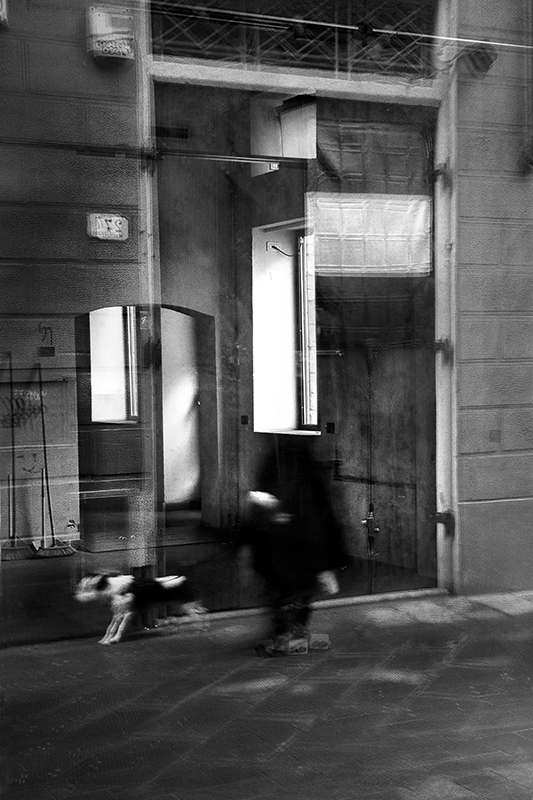 ho perso la testa ...