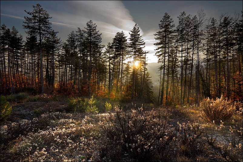 controluce invernale