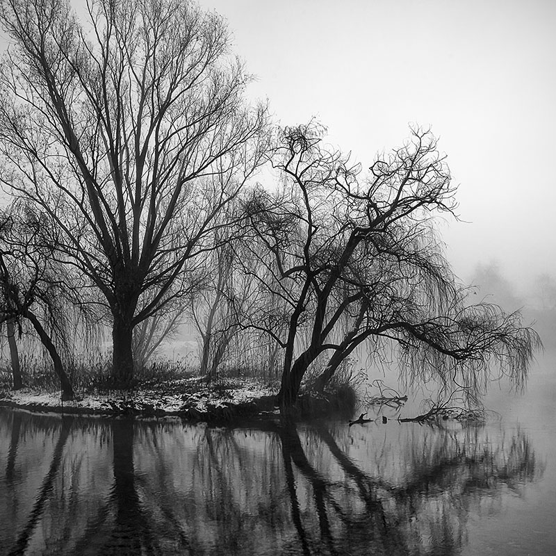 "Superbia e Vanit�"