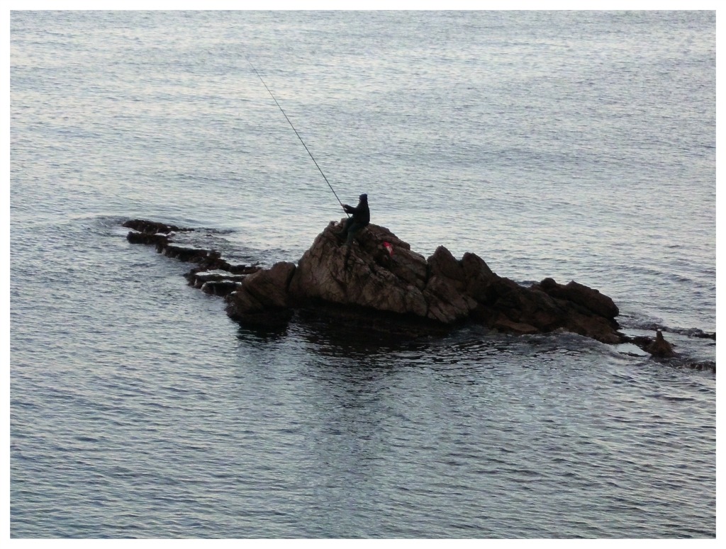 La passione per la pesca