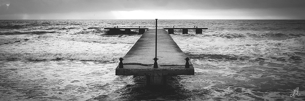 �di�men�ti�c�re�