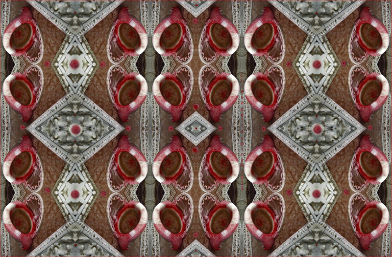 Chiesa della Spina Pisa  2013