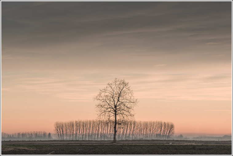 Paesaggio con albero..e altro dietro