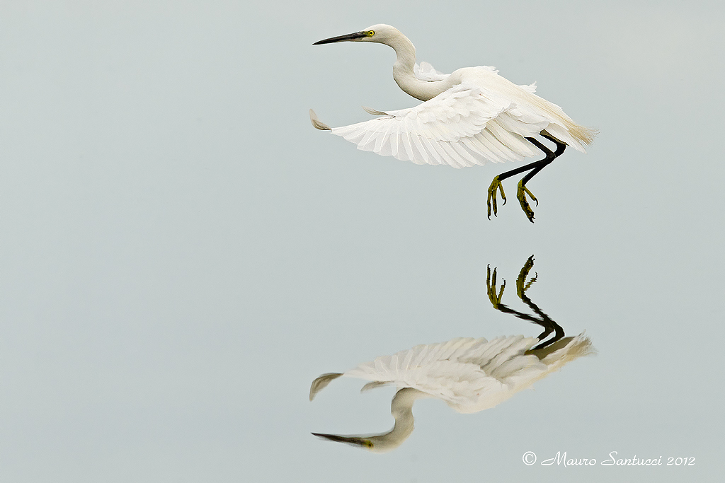 Volando su di uno specchio