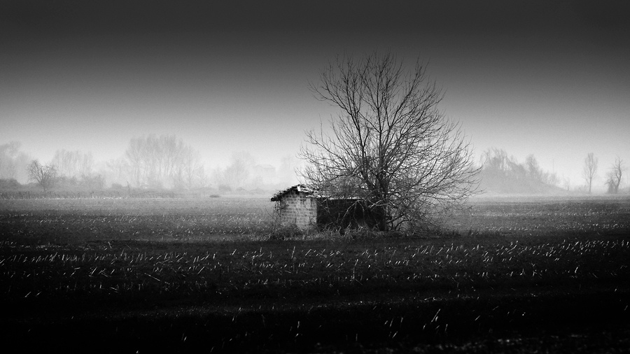 [Level 0: Born Places] #2