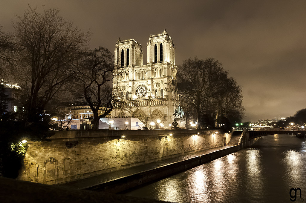 Notre Dame by night