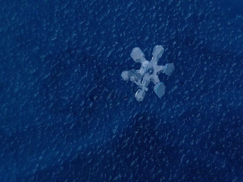 Il mio primo fiocco di neve