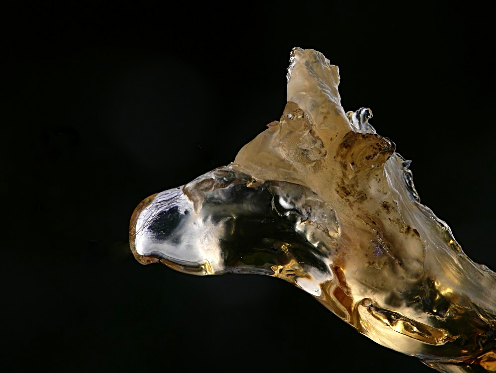 *** Lupacchiotto ***