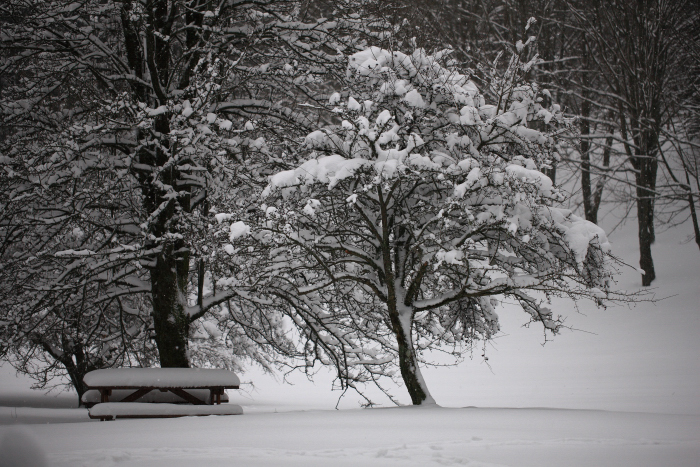 Appennino Tosco Emiliano