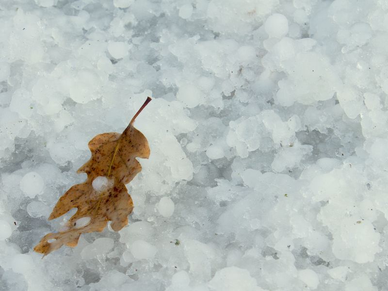 ...chicchi di grandine...