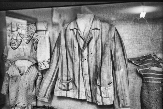 auschiwitz gennaio 2008