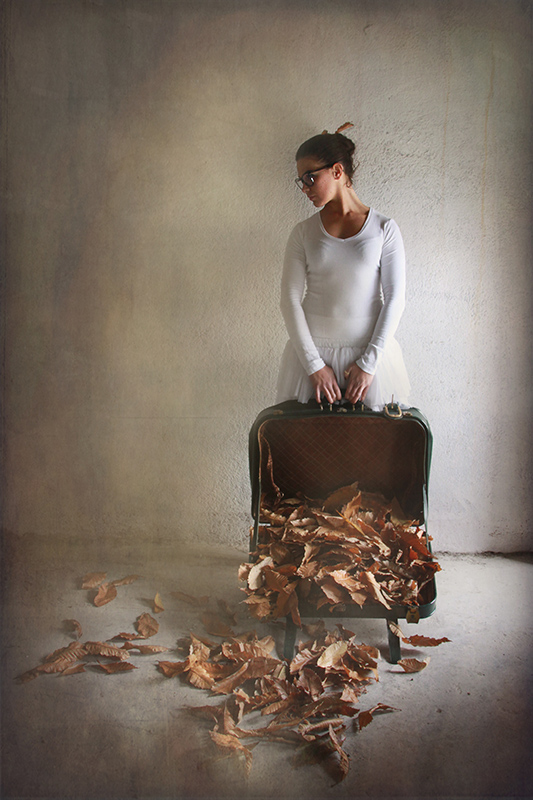 Ricordi di un lungo viaggio