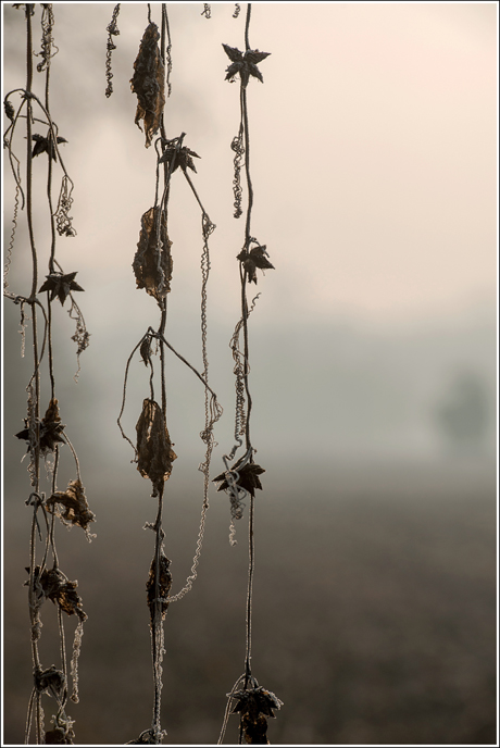 ...per non dimenticare